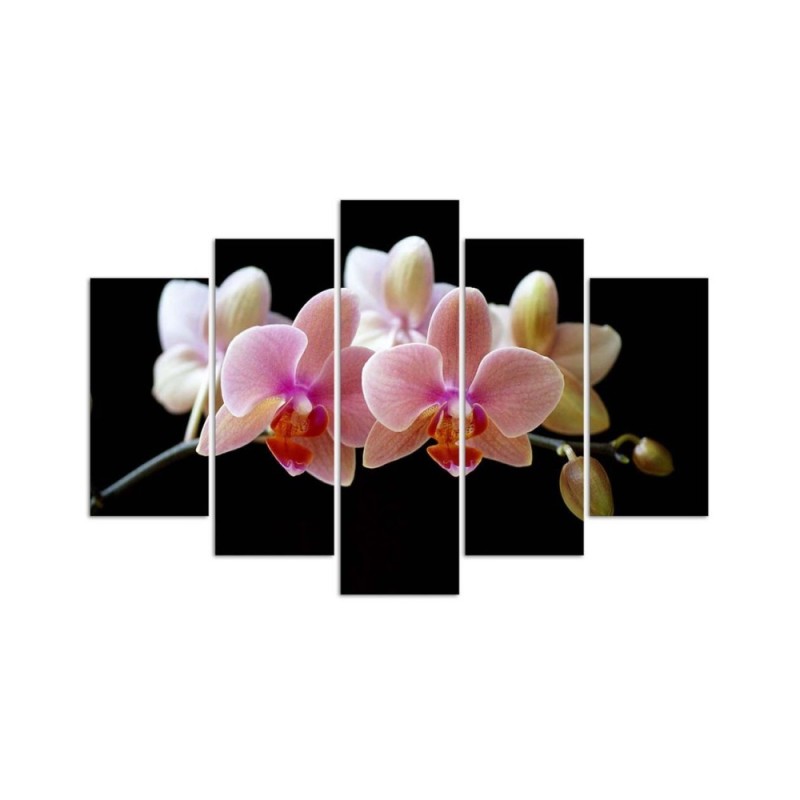Modernes Wandbild - Rosa Orchidee | Feeby