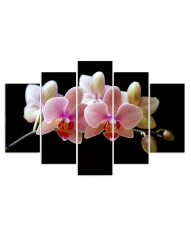 Modernes Wandbild - Rosa Orchidee | Feeby