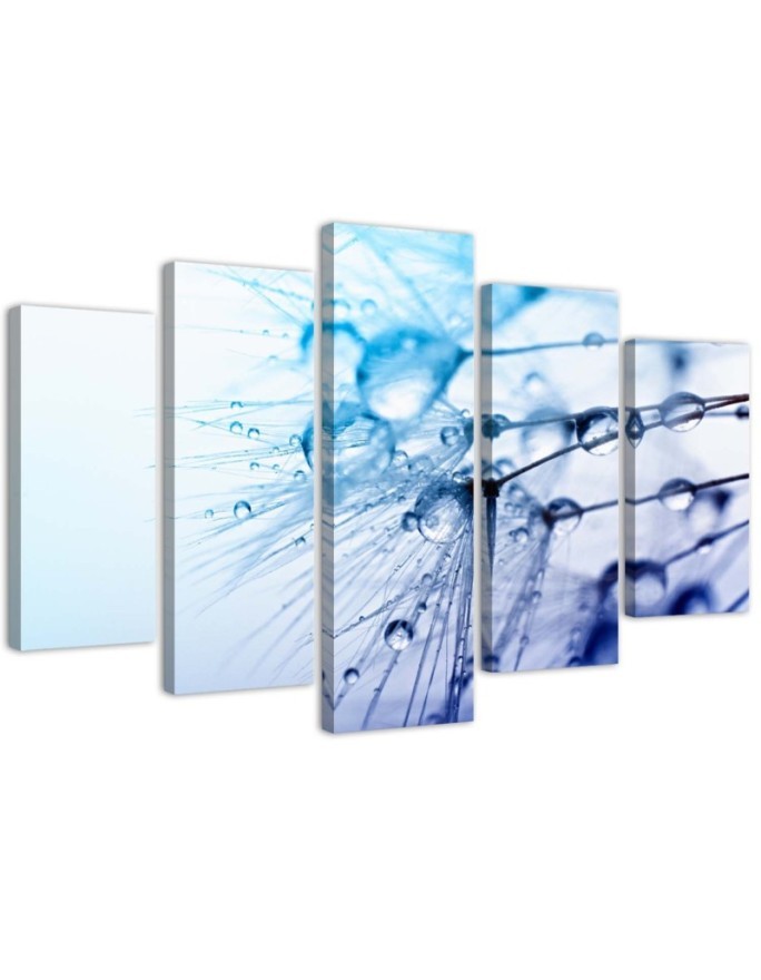 Modernes Wandbild - Rotscheitel-Laubenvogel | Feeby