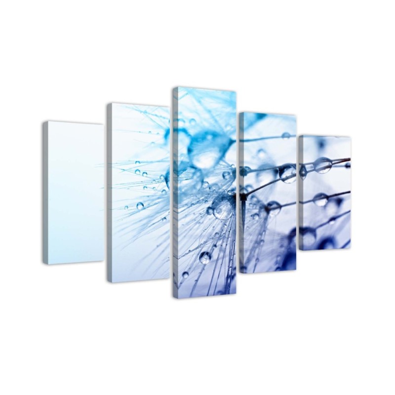 Modernes Wandbild - Rotscheitel-Laubenvogel | Feeby