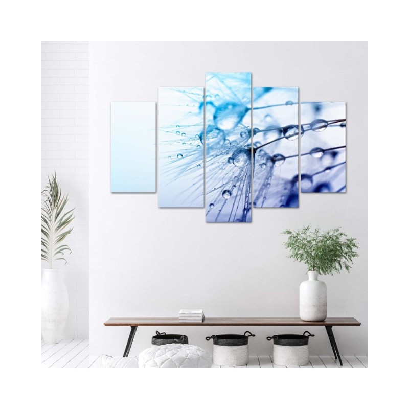 Modernes Wandbild - Rotscheitel-Laubenvogel | Feeby