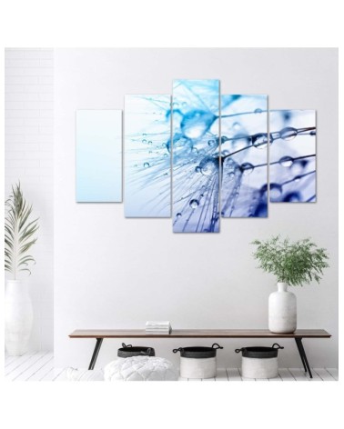 Modernes Wandbild - Rotscheitel-Laubenvogel | Feeby