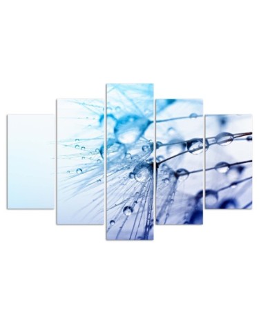 Modernes Wandbild - Rotscheitel-Laubenvogel | Feeby