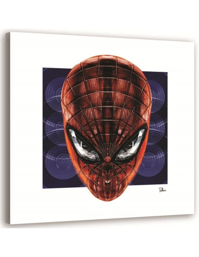 Spider-Man - obrazy do pokoju nastolatka na płótnie | FEEBY