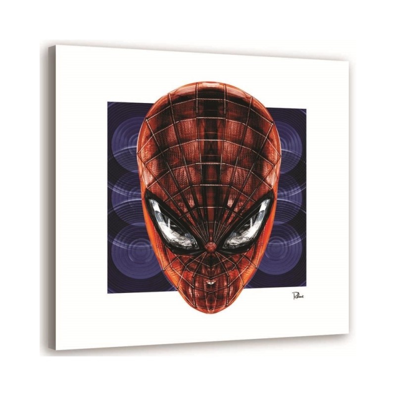 Spider-Man - obrazy do pokoju nastolatka na płótnie | FEEBY