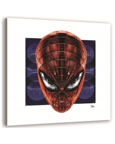 Spider-Man - canvas paintings for a teenager's room | FEEBY