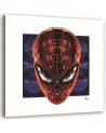 Spider-Man - obrazy do pokoju nastolatka na płótnie | FEEBY