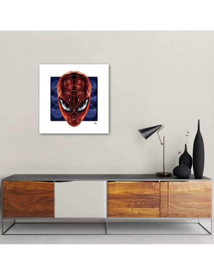 Spider-Man - obrazy do pokoju nastolatka na płótnie | FEEBY