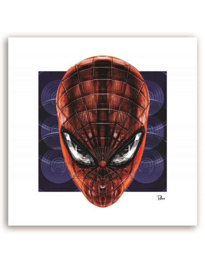 Spider-Man - obrazy do pokoju nastolatka na płótnie | FEEBY