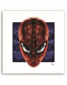 Spider-Man - obrazy do pokoju nastolatka na płótnie | FEEBY