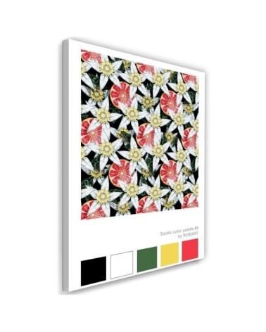 Canvas painting Grapefruit and white flowers Rubiant | FEEBY