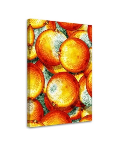 Oranges - wall art paintings for kitchen, restaurant | FEEBY