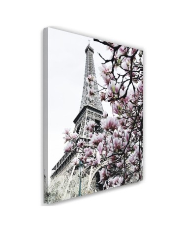 Modern Canvas painting Eiffel Tower and magnolias Dmitry Belov | FEEBY