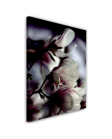 Close-up magnolia flower wall art painting Dmitry Belov | FEEBY