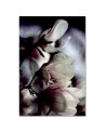 Close-up magnolia flower wall art painting Dmitry Belov | FEEBY