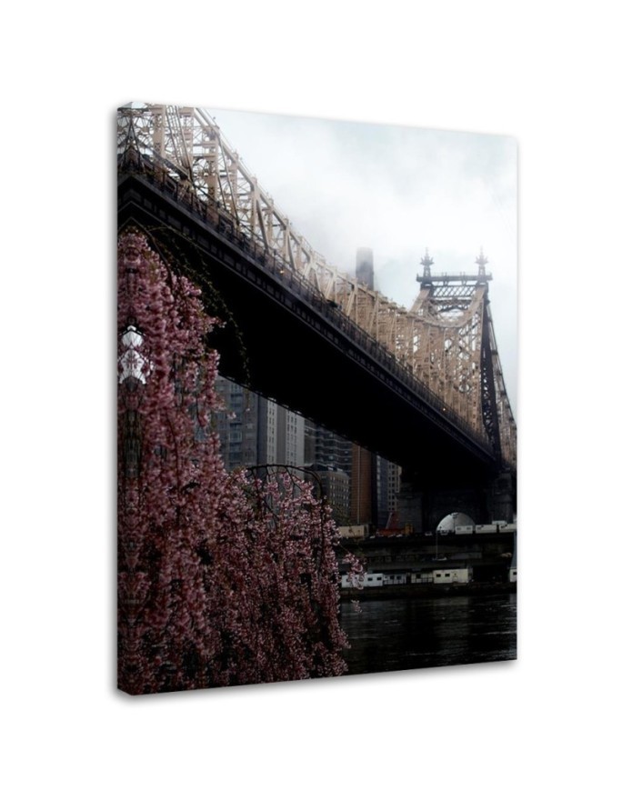 Obraz do salonu Ed Koch Queensboro Bridge Dmitry Belov | FEEBY