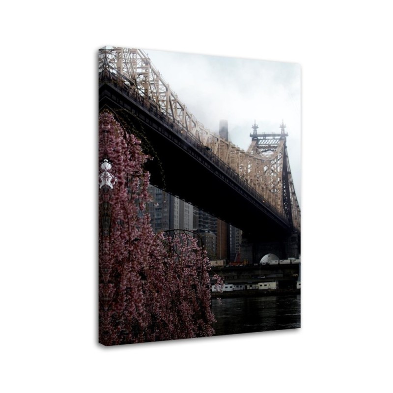 Obraz do salonu Ed Koch Queensboro Bridge Dmitry Belov | FEEBY
