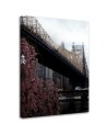 Obraz do salonu Ed Koch Queensboro Bridge Dmitry Belov | FEEBY