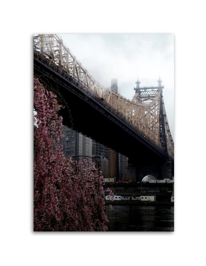 Obraz do salonu Ed Koch Queensboro Bridge Dmitry Belov | FEEBY