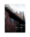 Obraz do salonu Ed Koch Queensboro Bridge Dmitry Belov | FEEBY