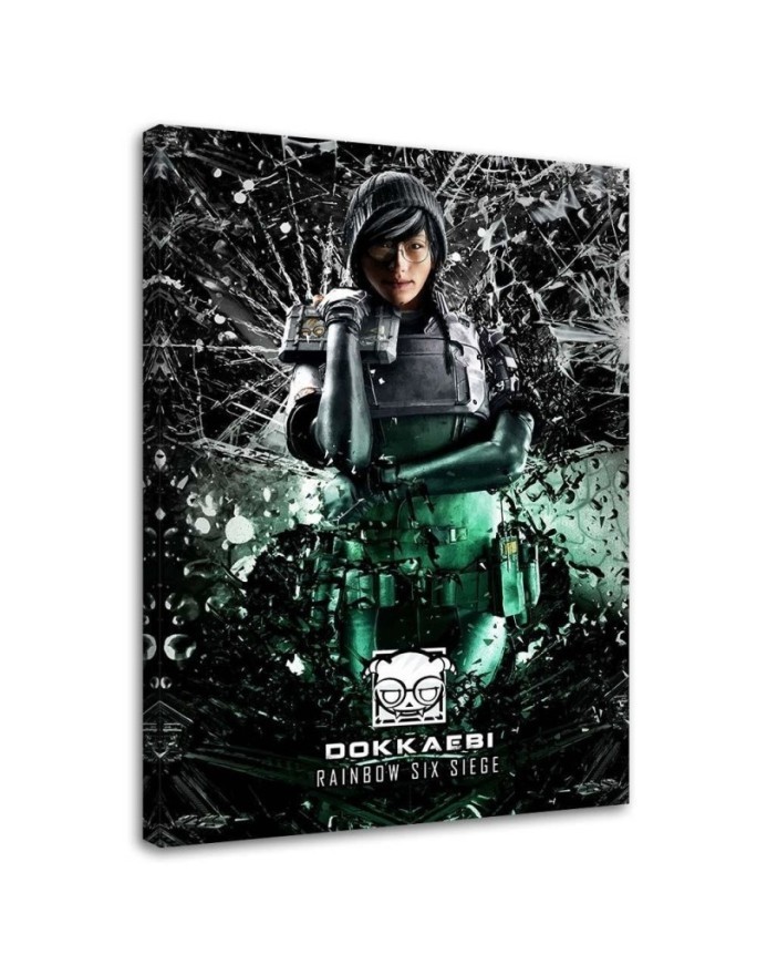 Obraz młodzieżowy na ścianę - Postać Rainbow six siege | FEEBY