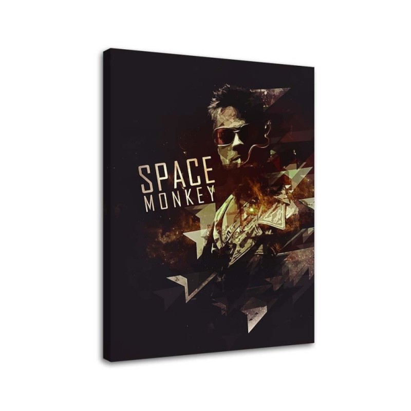 Obraz młodzieżowy na ścianę - Space Monkey | FEEBY