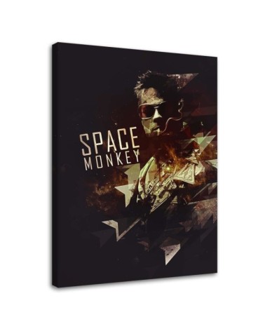 Obraz młodzieżowy na ścianę - Space Monkey | FEEBY
