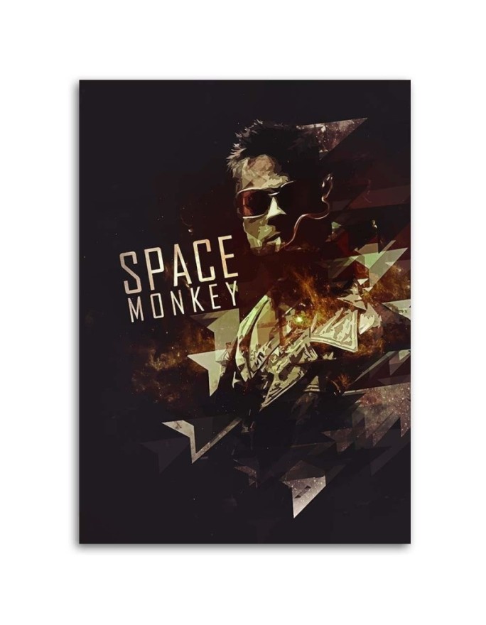 Obraz młodzieżowy na ścianę - Space Monkey | FEEBY