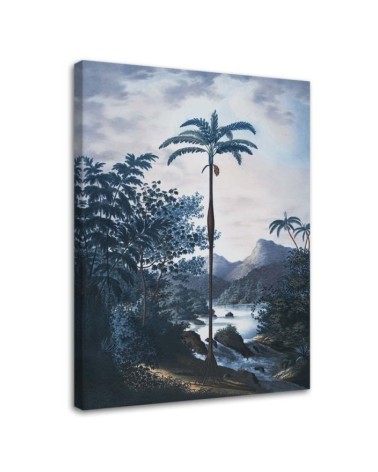 Canvas prints for dining room, room - Palm tree in the jungle Andrea Haase | FEEBY