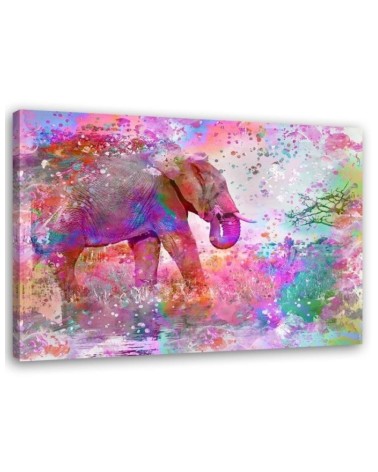 Pictures on Canvas for a girl's room - Colourful elephant Andrea Haase | FEEBY