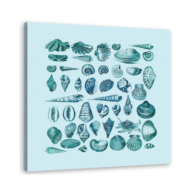 Canvas prints for spa, bathroom - Blue seashells Andrea Haase | FEEBY
