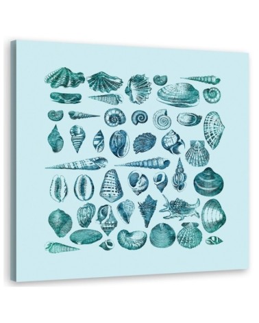 Canvas prints for spa, bathroom - Blue seashells Andrea Haase | FEEBY