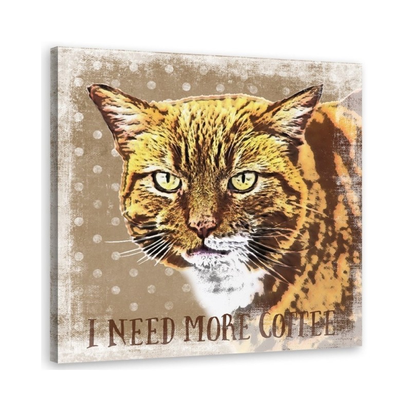 Kot - obraz do kuchni More Coffee Andrea Haase