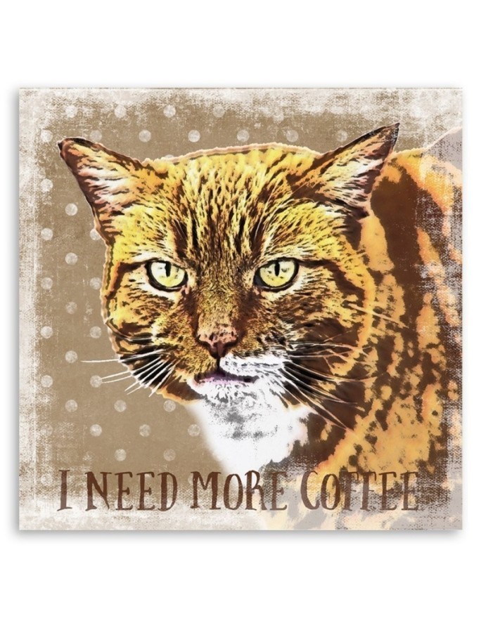 Kot - obraz do kuchni More Coffee Andrea Haase