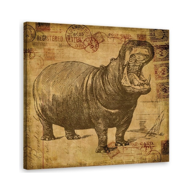 Obraz ilustracja na ścianę - Hipopotam w sepii Andrea Haase