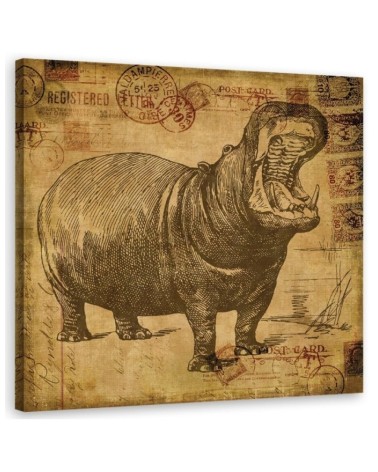 Wall art illustration painting - Hippopotamus in sepia Andrea Haase | FEEBY