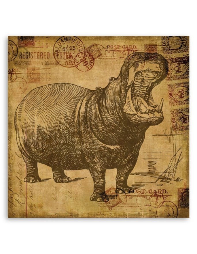 Obraz ilustracja na ścianę - Hipopotam w sepii Andrea Haase