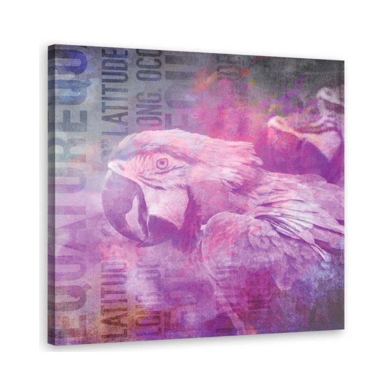 Obraz canvas na ściane - Różowa papuga Andrea Haase