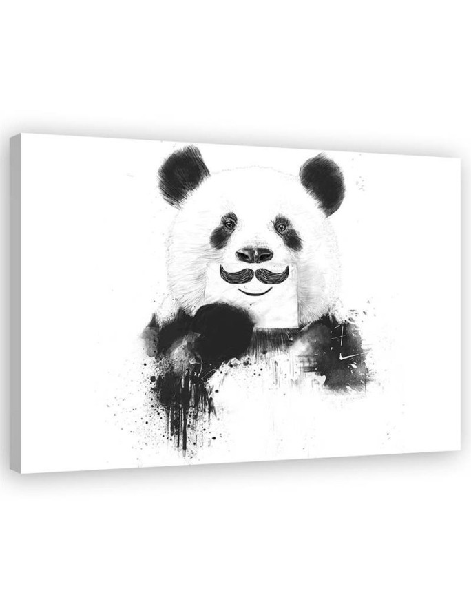 Obrazki dla dzieci do pokoju - Czarno-biała panda Balazs Solti