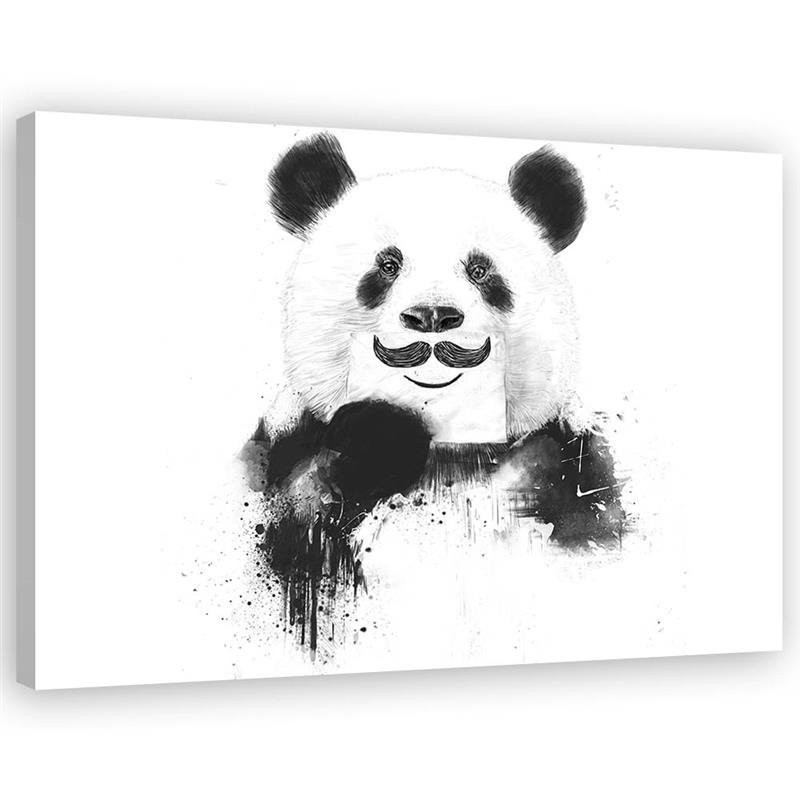 Obrazki dla dzieci do pokoju - Czarno-biała panda Balazs Solti