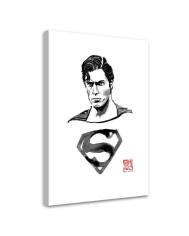 Picture on Canvas for office - Superman Péchane | FEEBY