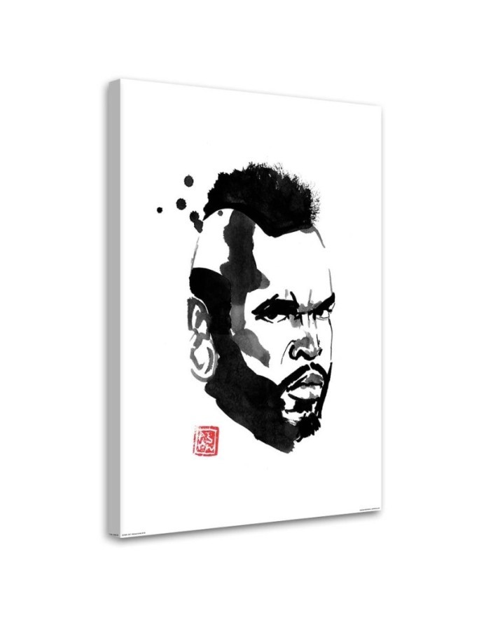 Obraz ilustracja na ścianę - Mister T Péchane