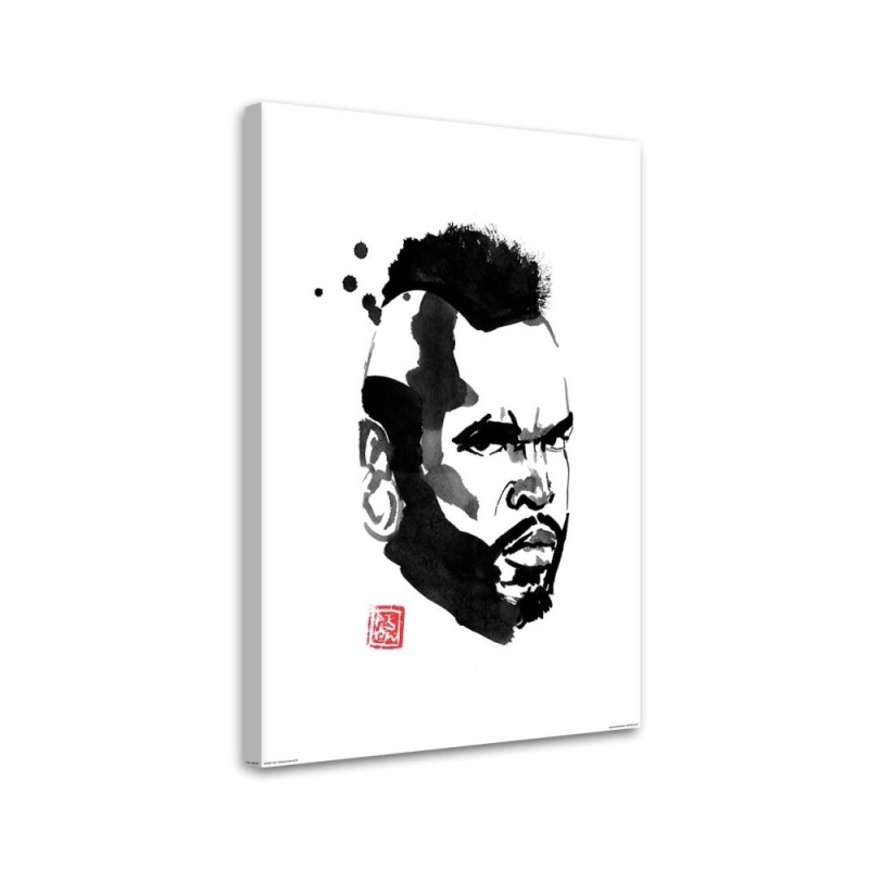 Obraz ilustracja na ścianę - Mister T Péchane