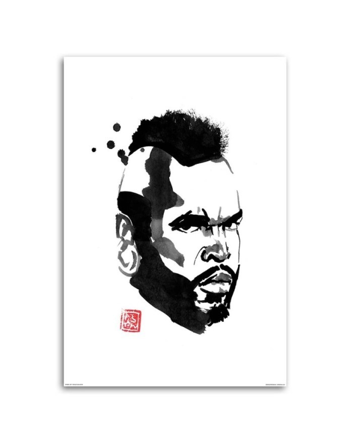 Obraz ilustracja na ścianę - Mister T Péchane