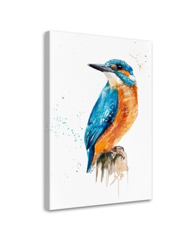 Printed painting on canvas - Kingfisher Dorota Martyńska | FEEBY
