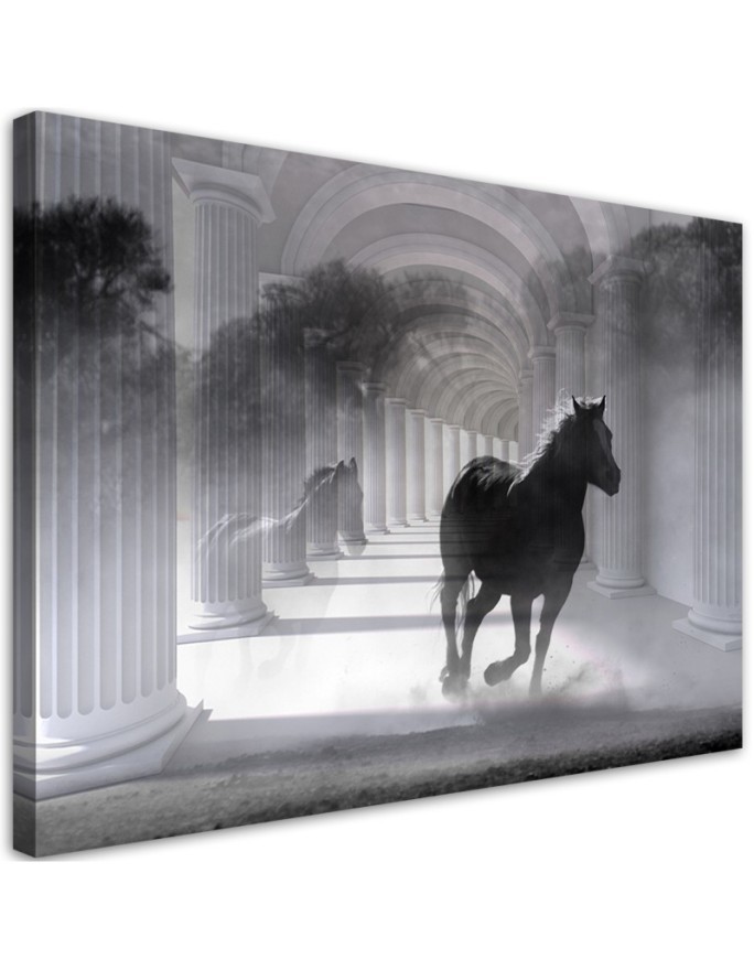 Leinwandbild - Pferd im Galopp 3D Tunnel | Feeby