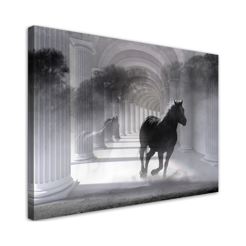 Leinwandbild - Pferd im Galopp 3D Tunnel | Feeby