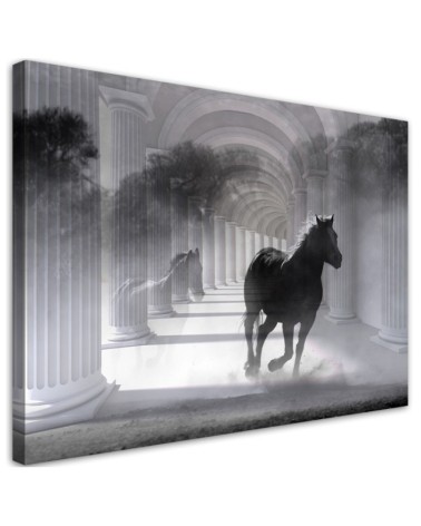 Leinwandbild - Pferd im Galopp 3D Tunnel | Feeby