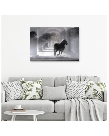 Leinwandbild - Pferd im Galopp 3D Tunnel | Feeby