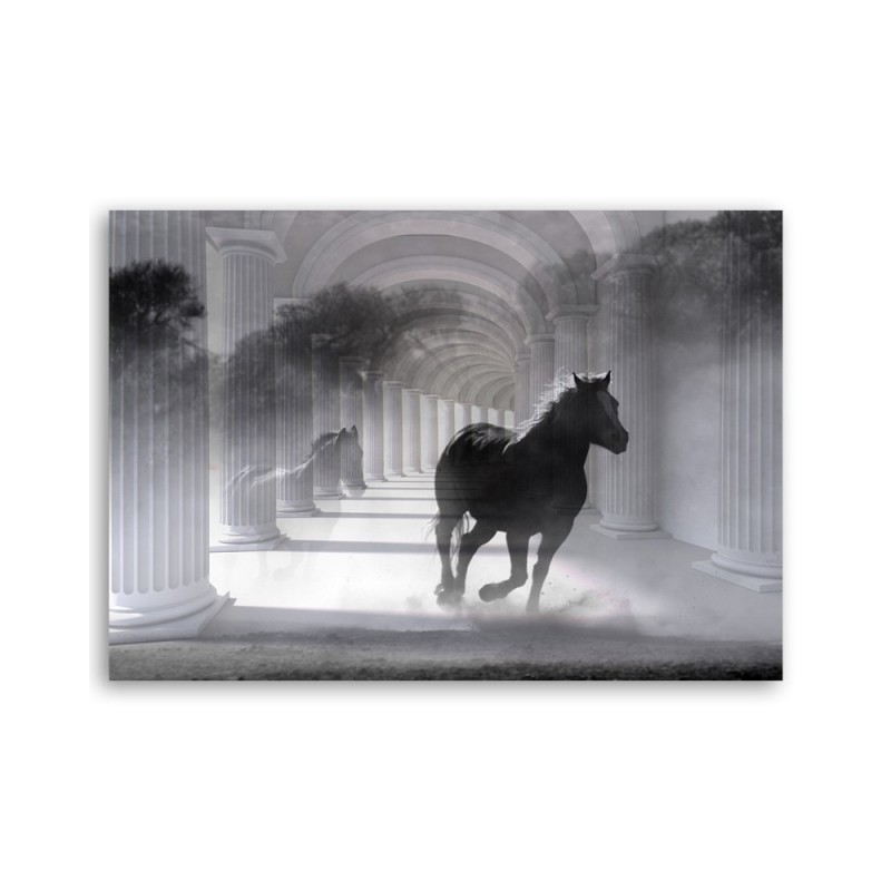 Leinwandbild - Pferd im Galopp 3D Tunnel | Feeby